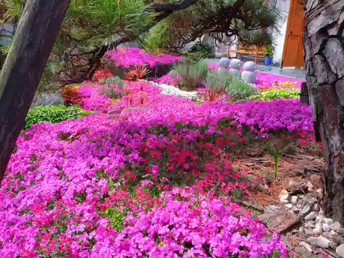 寿量山　速成寺(奈良県)