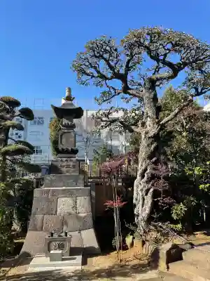 栄松院の{uncategorized: "未分類", other: "その他", undefined: "問題あり", building: "その他建物", grave: "お墓", sacred_gate: "鳥居", guardian: "狛犬", statue: "像", buddha: "仏像", history: "歴史", nature: "自然", garden: "庭園", animal: "動物", pagoda: "塔", temizu: "手水舎", mountain_gate: "山門・神門", sanctuary: "本殿・本堂", subordinate: "末社・摂社", art: "芸術", scenery: "景色", jizo: "地蔵", ema: "絵馬", goshuin: "御朱印", omikuji: "おみくじ", items: "授与品その他", amulet: "お守り", goshuincho: "御朱印帳", eats: "食事", festival: "お祭り", votive_dance: "神楽", shichigosan: "七五三参", wedding: "結婚式", experience: "体験その他", initially: "初詣", around: "周辺", anti_infection: "感染症対策"}