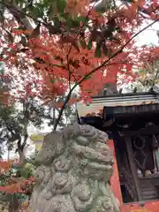 稗田神社の狛犬