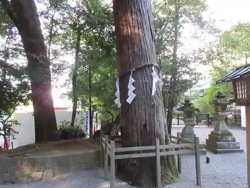 石上神宮の自然