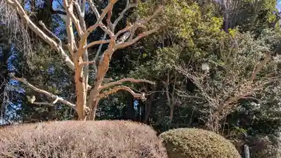 歓喜院本坊の庭園