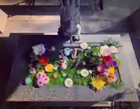 滑川神社 - 仕事と子どもの守り神の手水舎