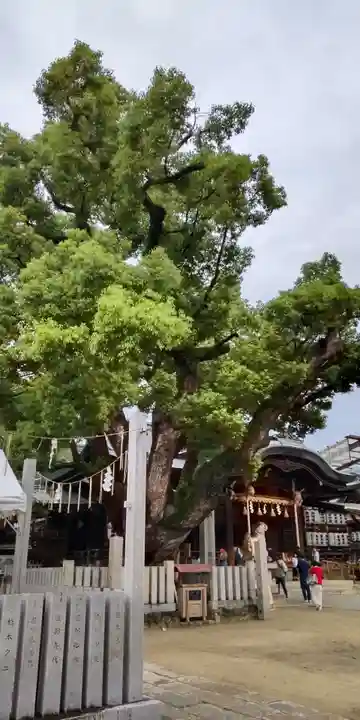 石切劔箭神社(大阪府)