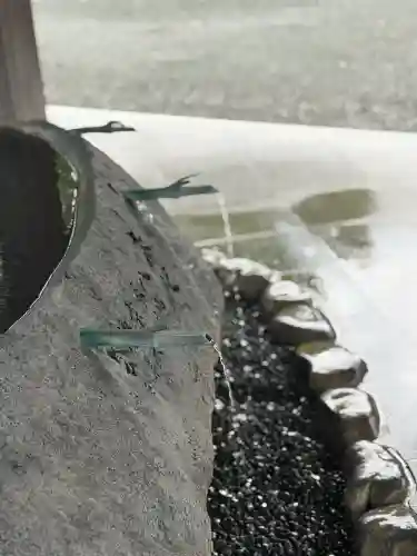 宗像大社(福岡県)