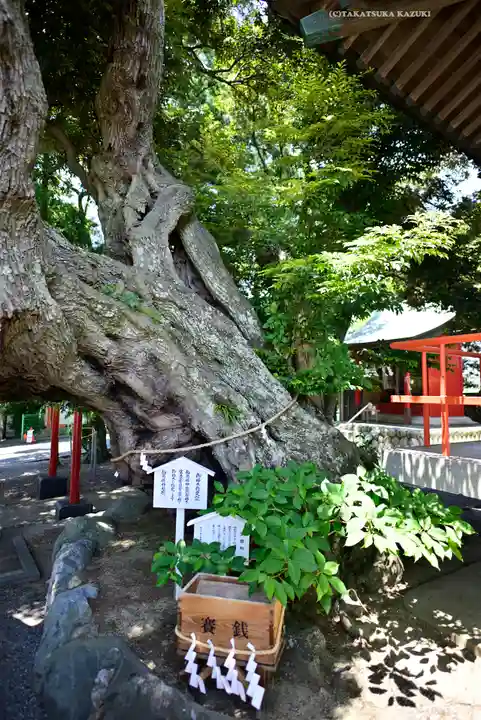 高塚熊野神社(静岡県)