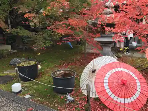 勝林寺の庭園