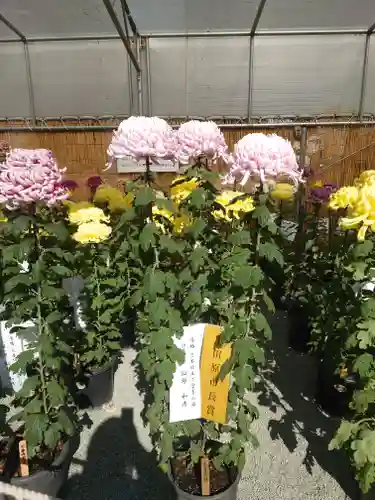 蓮池弁財天社(神奈川県)