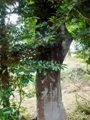 白山神社(群馬県)