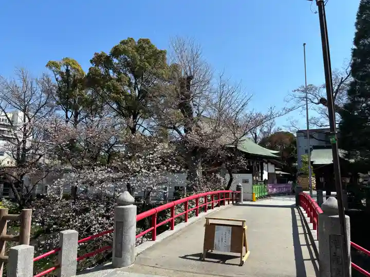 松戸神社(千葉県)