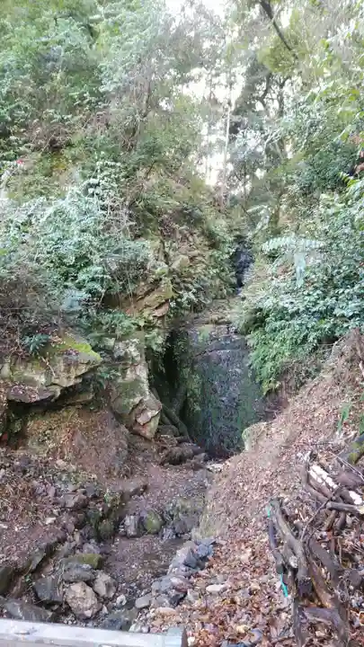 松尾大社の自然