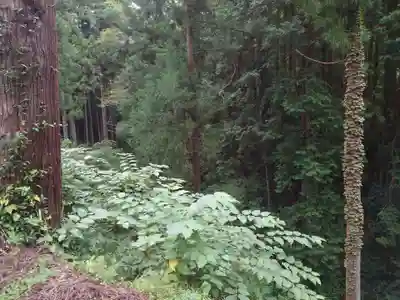 石楯尾神社の自然