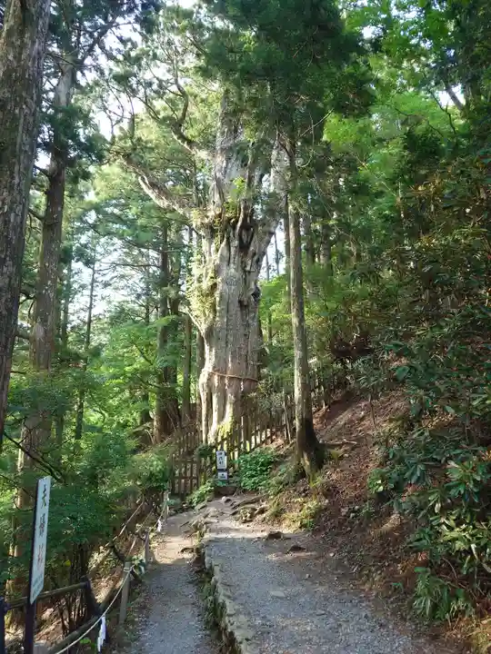 玉置神社(奈良県)