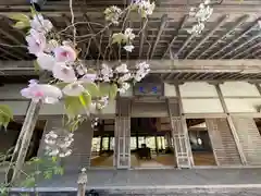 常照皇寺(京都府)