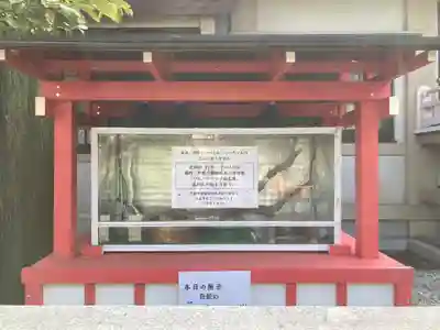 蛇窪神社(東京都)