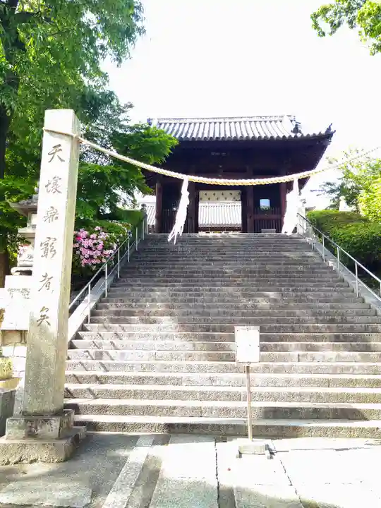 阿智神社の本殿・本堂