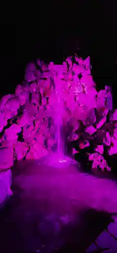 金蛇水神社(宮城県)