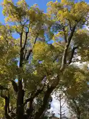 長瀨神社の自然