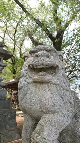 近戸神社の狛犬