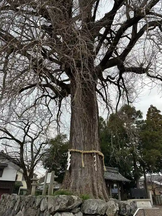天川命神社(滋賀県)