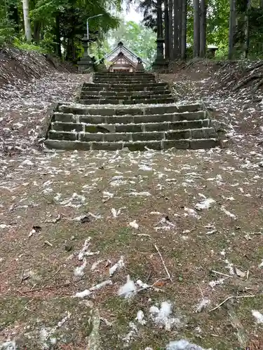 京極八幡神社の自然