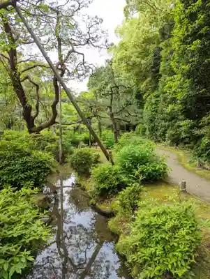 平安神宮(京都府)