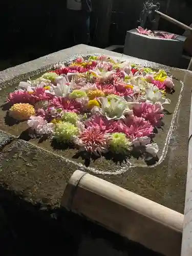 紅葉八幡宮の手水舎