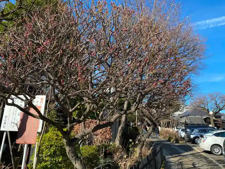 白山神社の庭園