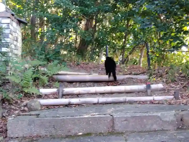 石峯寺(京都府)
