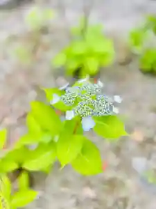 伊勢の国 四天王寺(三重県)(2023年05月28日(日) 11時07分52秒投稿)