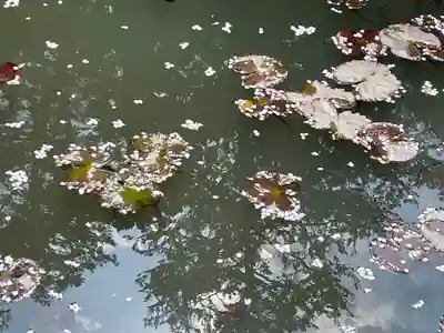 小松寺(千葉県)