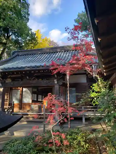 妙法寺の本殿・本堂
