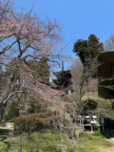 国宝 大法寺(長野県)