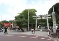 針綱神社の鳥居