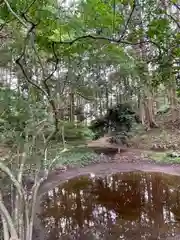 天宮神社の自然