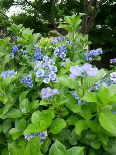 尾曳稲荷神社の自然