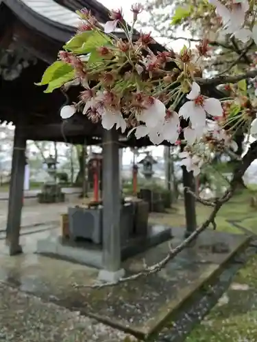 花巻神社の建物その他