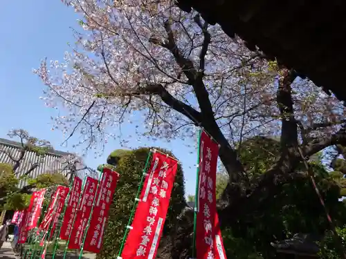 瑞雲寺の自然