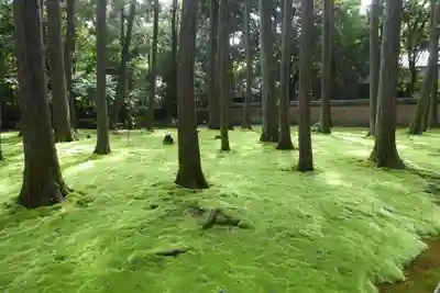 唐招提寺(奈良県)