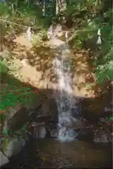 戸隠神社中社の自然