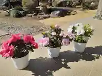 伏木香取神社の自然