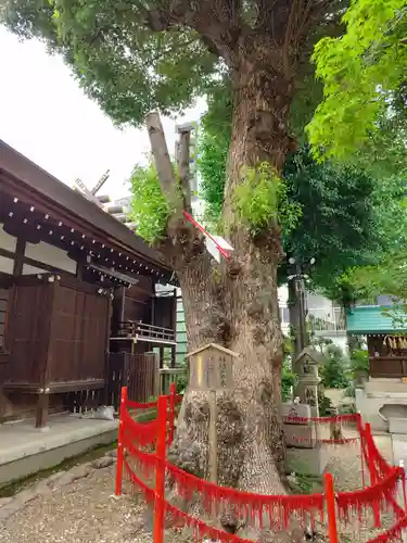 三輪神社(愛知県)