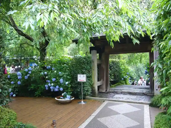 明月院の山門・神門