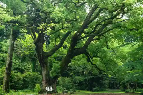 曽許乃御立神社(静岡県)