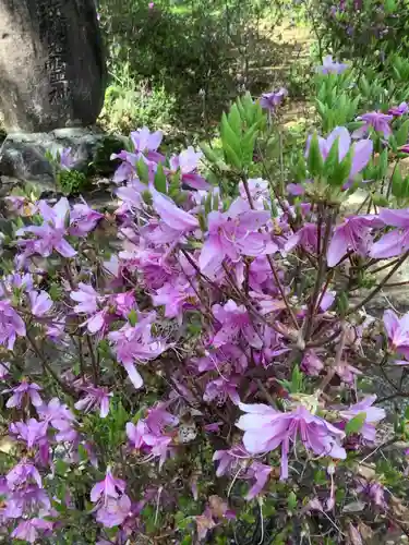 玉野御嶽神社の自然