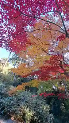 海住山寺(京都府)