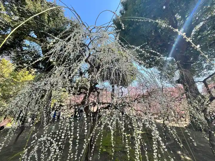 城南宮(京都府)