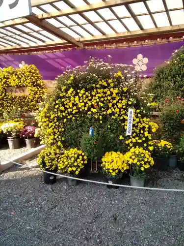 亀戸天神社のその他建物