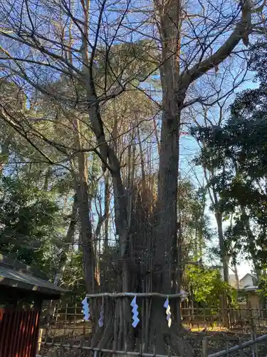 大國魂神社(東京都)