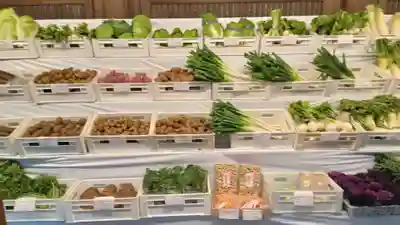 明治神宮(東京都)