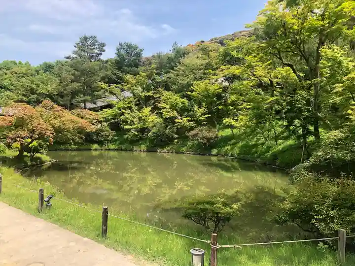 高台寺(高台寿聖禅寺・高臺寺)(京都府)